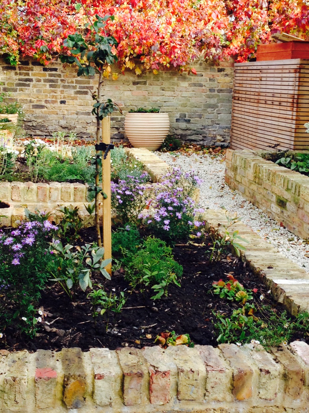 Courtyard garden, Blackheath