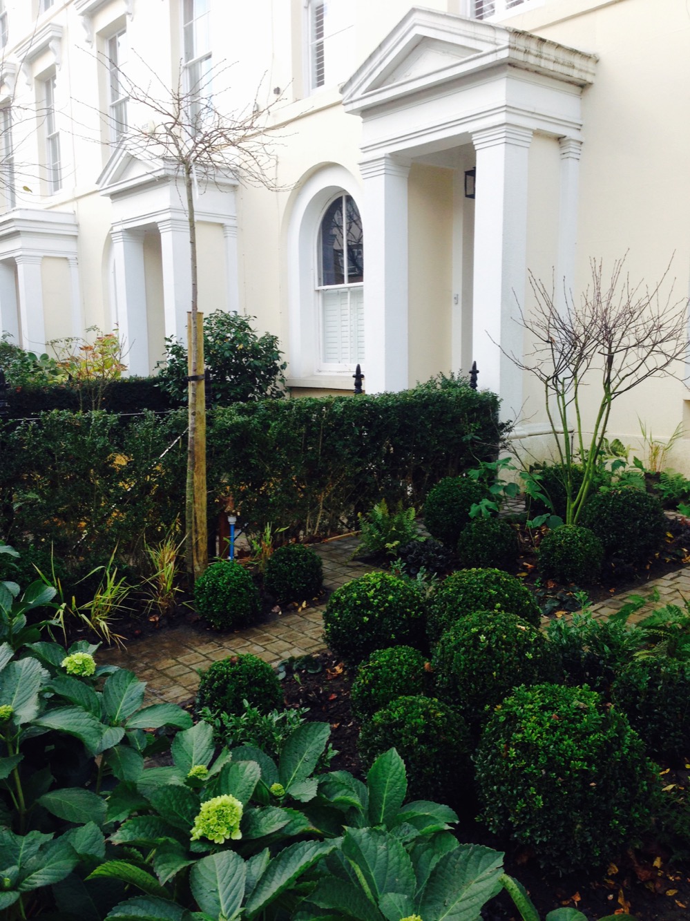Front garden, Blackheath