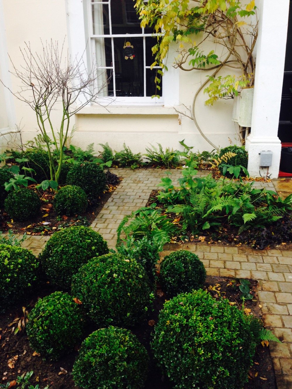 Front garden, Blackheath