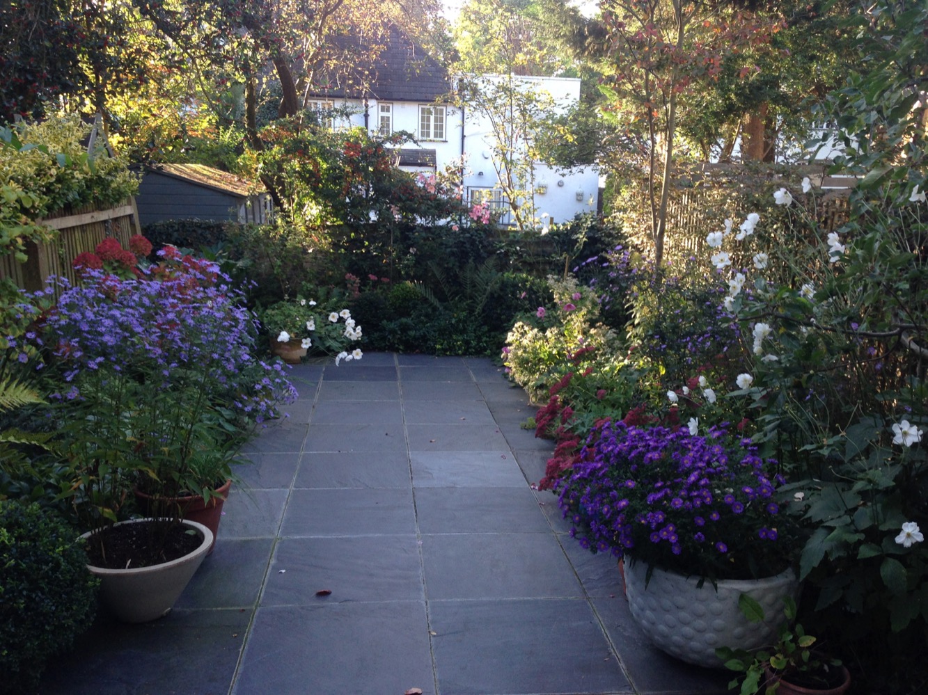 Blackheath garden in October