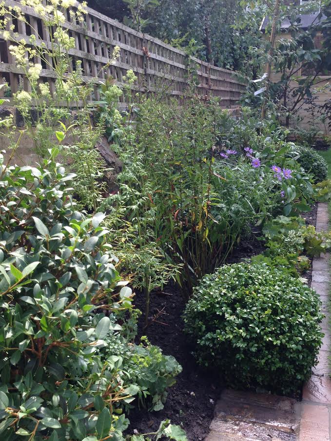 New and recycled planting, Greenwich