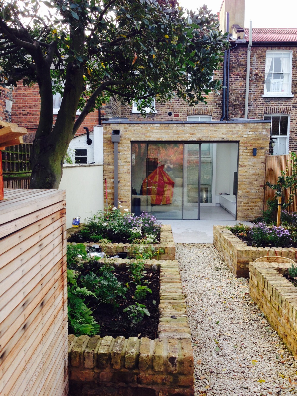 Newly planted urban courtyard garden. Plants include Dryopteris erythrosora, Astrantia major 'Star of Royals', Aster divaricatus